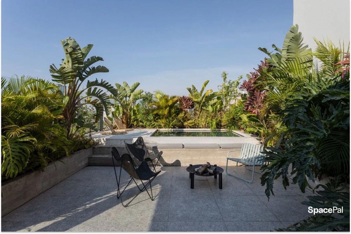 Betsson: ¿Cuánto podés ganar apostando online en 2025?